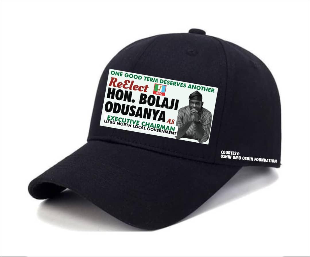 Ogun State Party Support